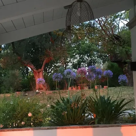 アパート Casa Sant Angelo ペザロ