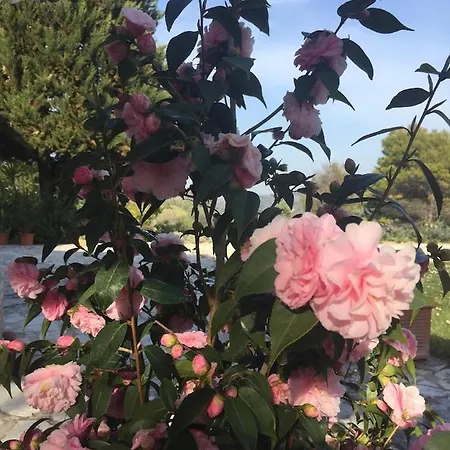 アパート Casa Sant Angelo