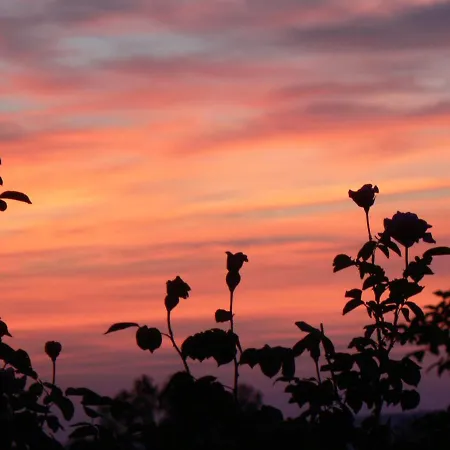 Casa Sant Angelo アパート *